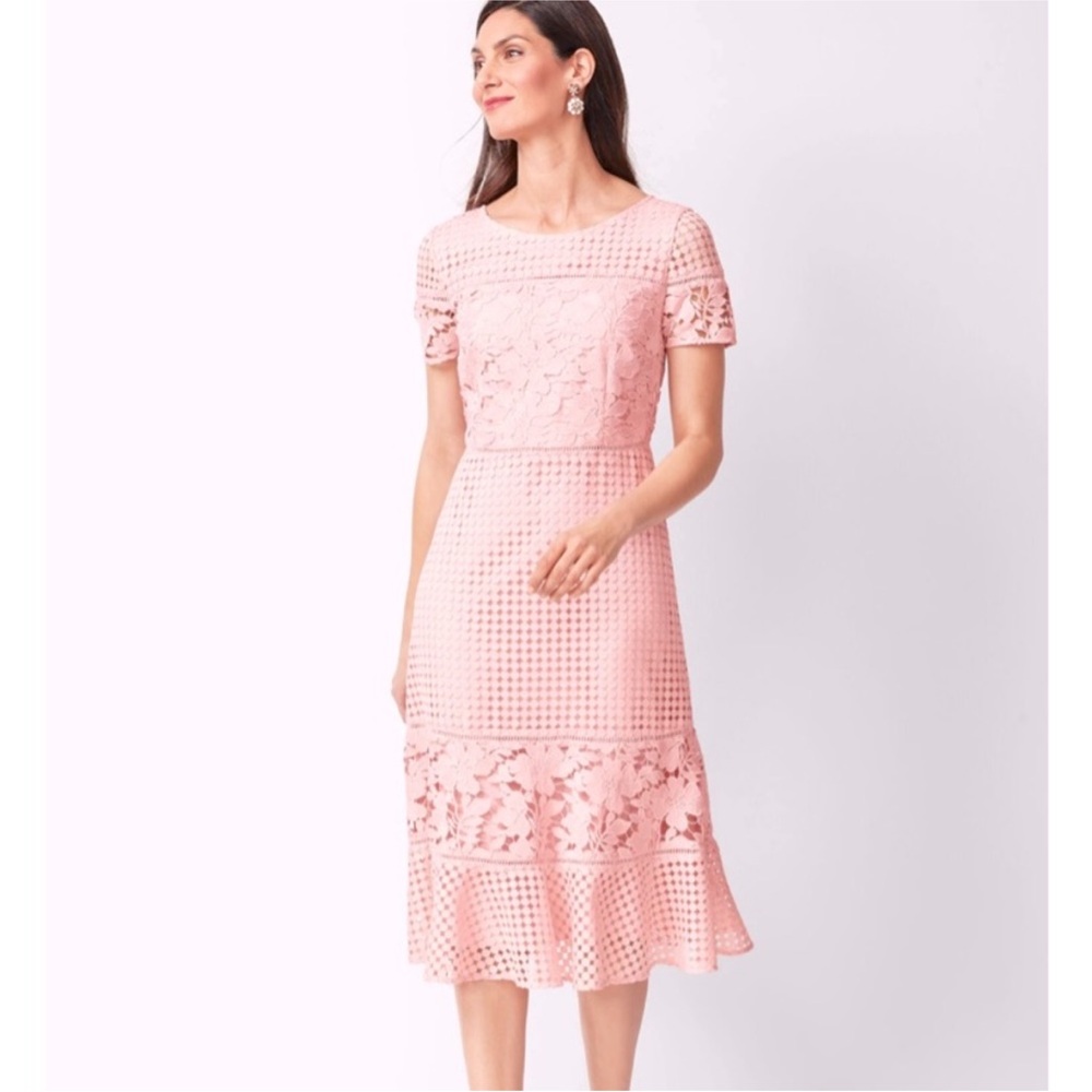 Talbots Pink Lace & Eyelet Midi Dress